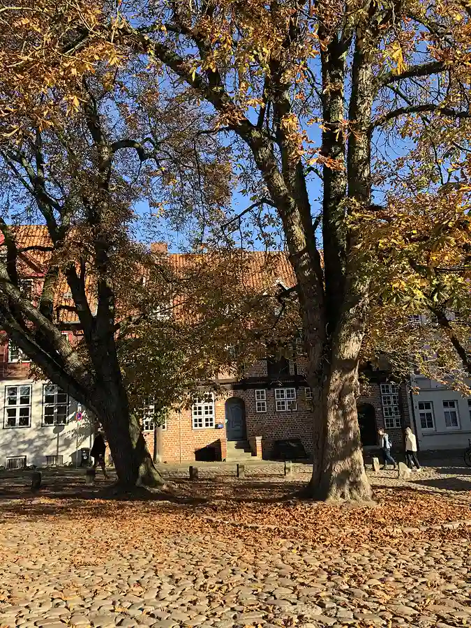 am stint im herbst