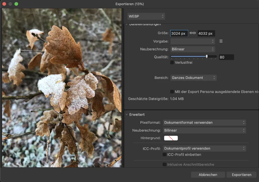 WordPress Bilder optimieren