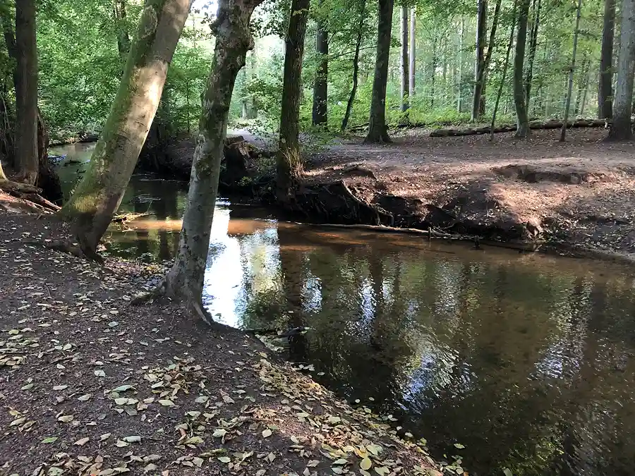hasenburger bach