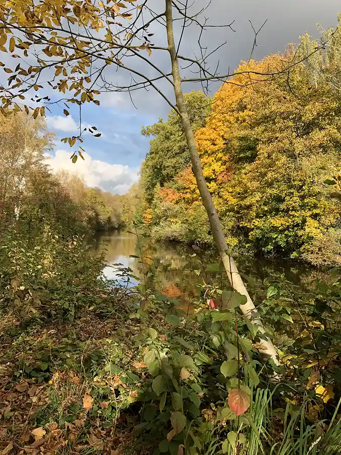 ilmenaulandschaft herbst