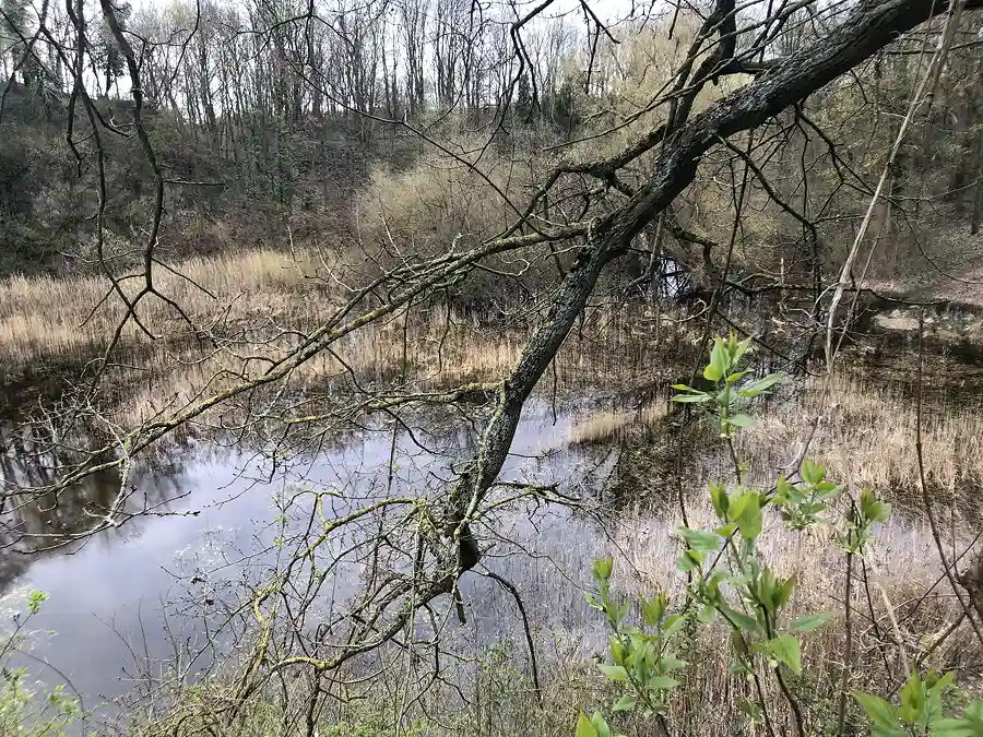 kalkberg ueberschwemmung 3