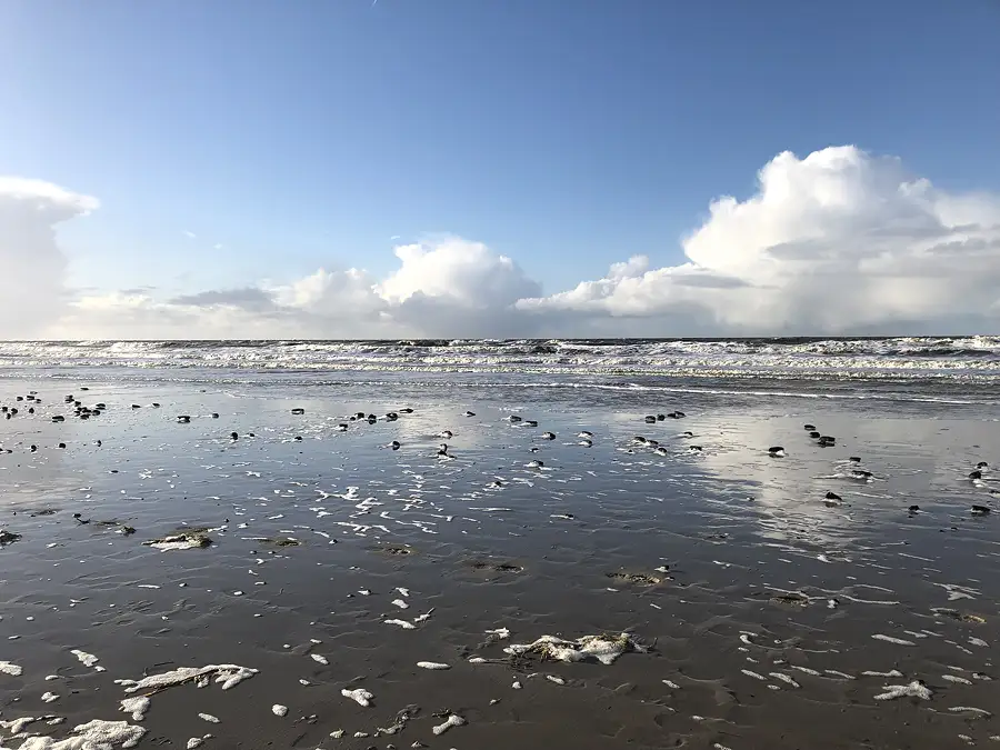 nordseestrand mit schaum