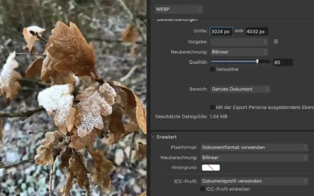 Website-Bilder optimieren in WordPress: 6 häufige Fehler und wie du sie vermeidest
