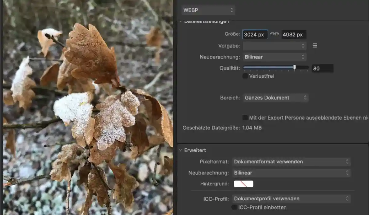 Blog 3 Website-Bilder optimieren in WordPress: 6 häufige Fehler und wie du sie vermeidest