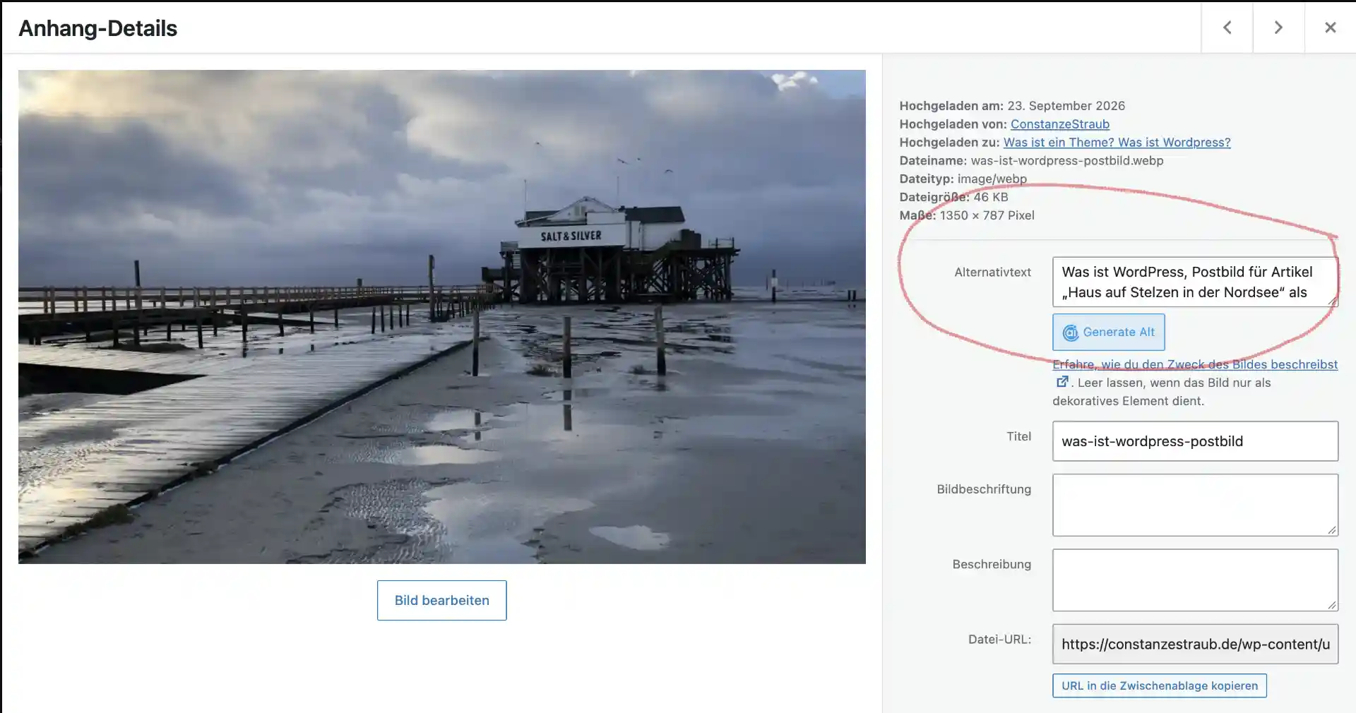 website bilder optimieren